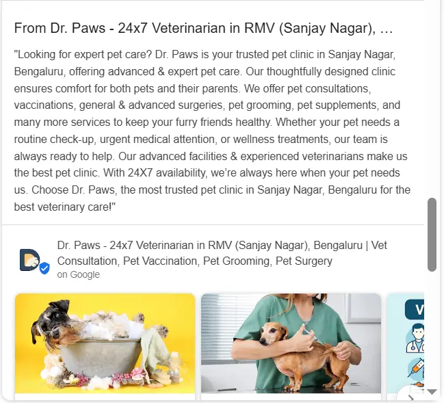 Dr. Paws_ Google Business Profile post with a description of their services, including pet consultations, vaccinations, and surgeries
