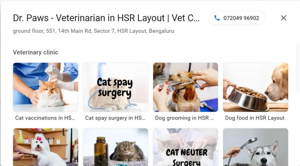 Google My Business profile photos for Dr. Paws, featuring images of pet care services like cat spay surgery, dog grooming, and dog food