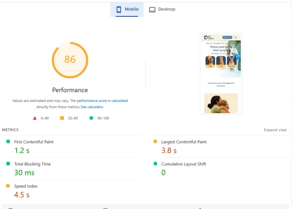Google PageSpeed Insights performance report for Dr. Paws_ mobile site showing a performance score of 86 with key metrics like Largest Contentful Paint and Speed Index
