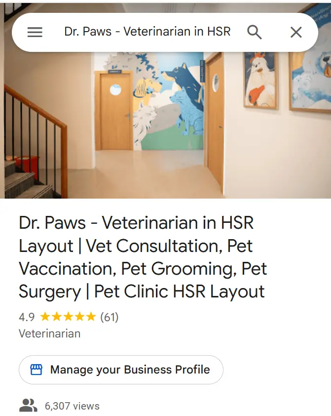 Veterinary clinic hallway with colorful dog-themed artwork on the walls at Dr. Paws