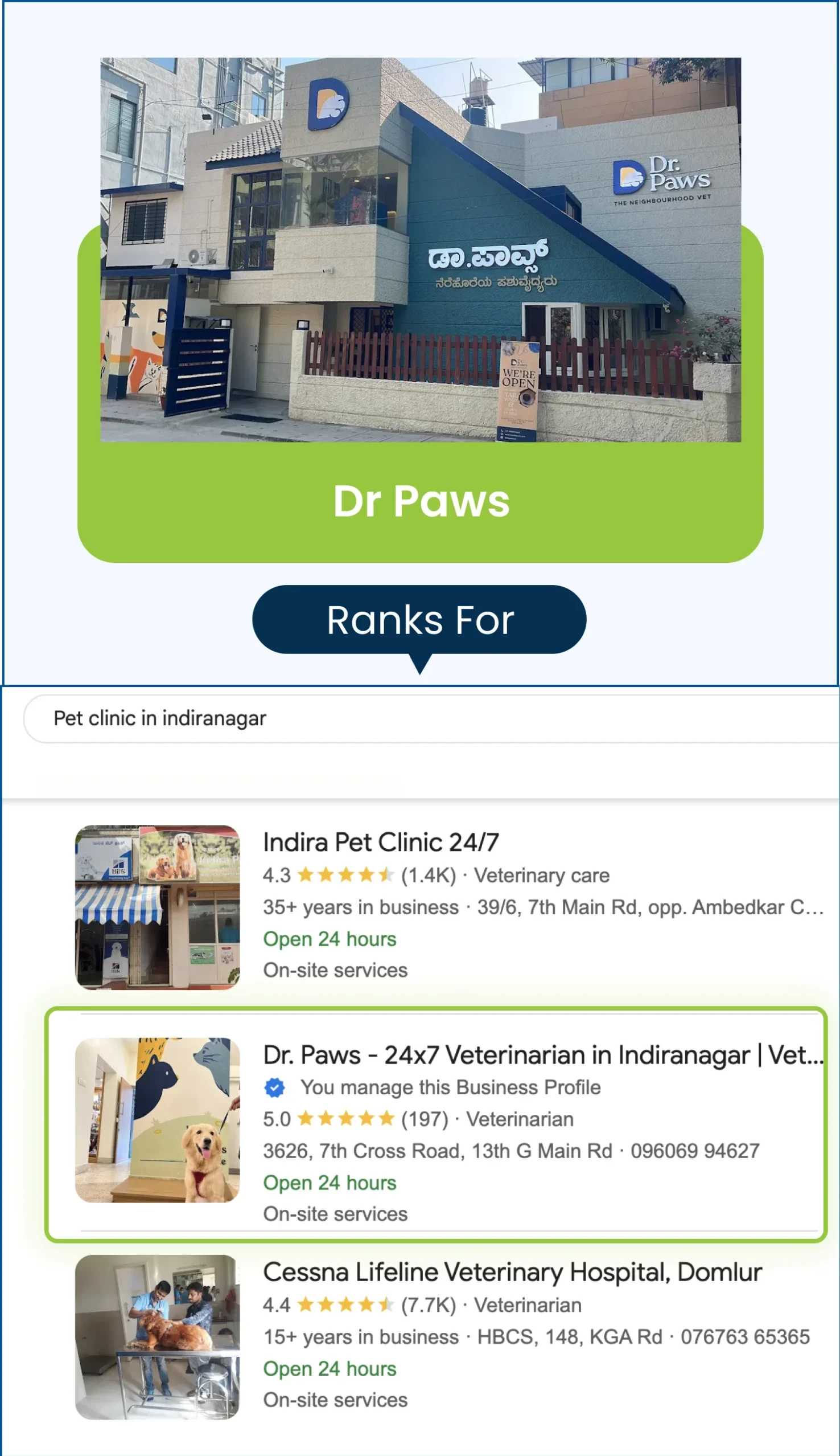 pet clinic indiranagar dr paws 24x7 veterinarian 1 e1754485773615