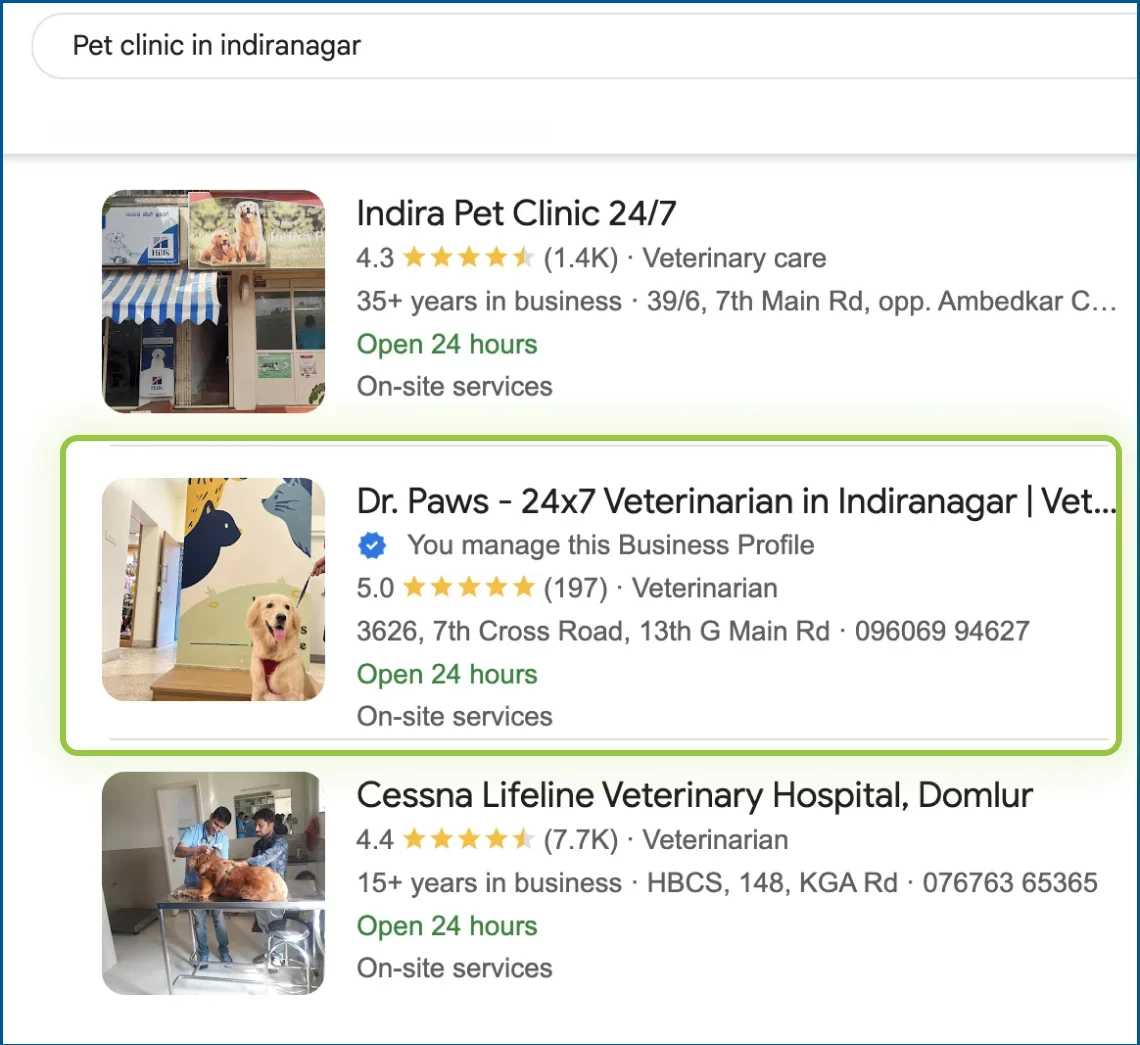 pet clinic indiranagar dr paws 24x7 veterinarian