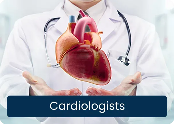 Cardiologists: a doctor with a stethoscope holding a 3D model of a heart in open hands
