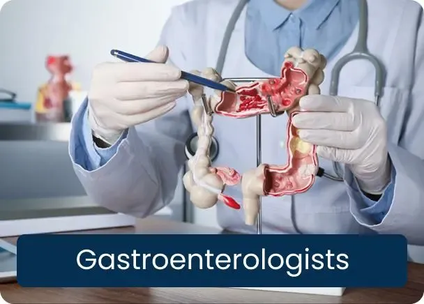 Gastroenterologists: a doctor in gloves pointing to a cutaway model of the large intestine